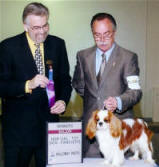 Feb 2006 Keyingham Stanway, Winners Dog - Major. Judge Jim Reynolds. Presented by Ted Crawford