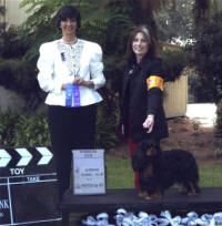 Turretbank Midnight Mystic, Winners Dog.  Shown by Gwenn Crawford. Breeder-Judge Anne Eckersley Chadwick Cavaliers
