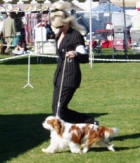 Keyingham Stanway on the move with Sue Miller in Apple Valley, March 2007