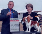  Lucy is owned and bred by Kelley Adair in Arizona