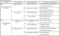 Pedigree Of Turretbank Midnight Mystic